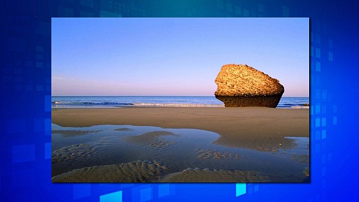 Saber y ganar - Saber y ganar. Edición de fin de semana - 06/11/21