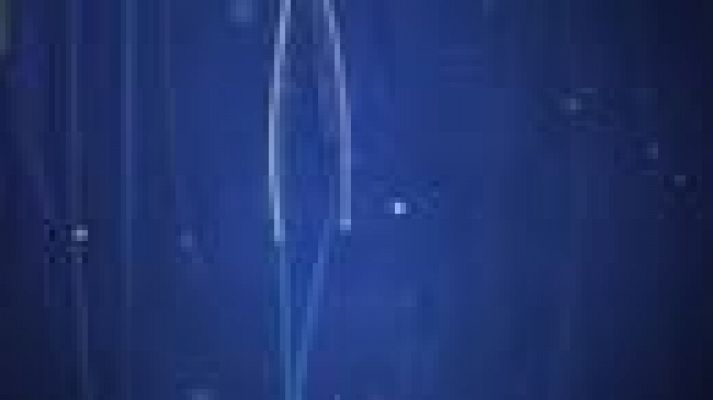 Noticias Andalucía - Noticias Andalucía - 02/11/2021