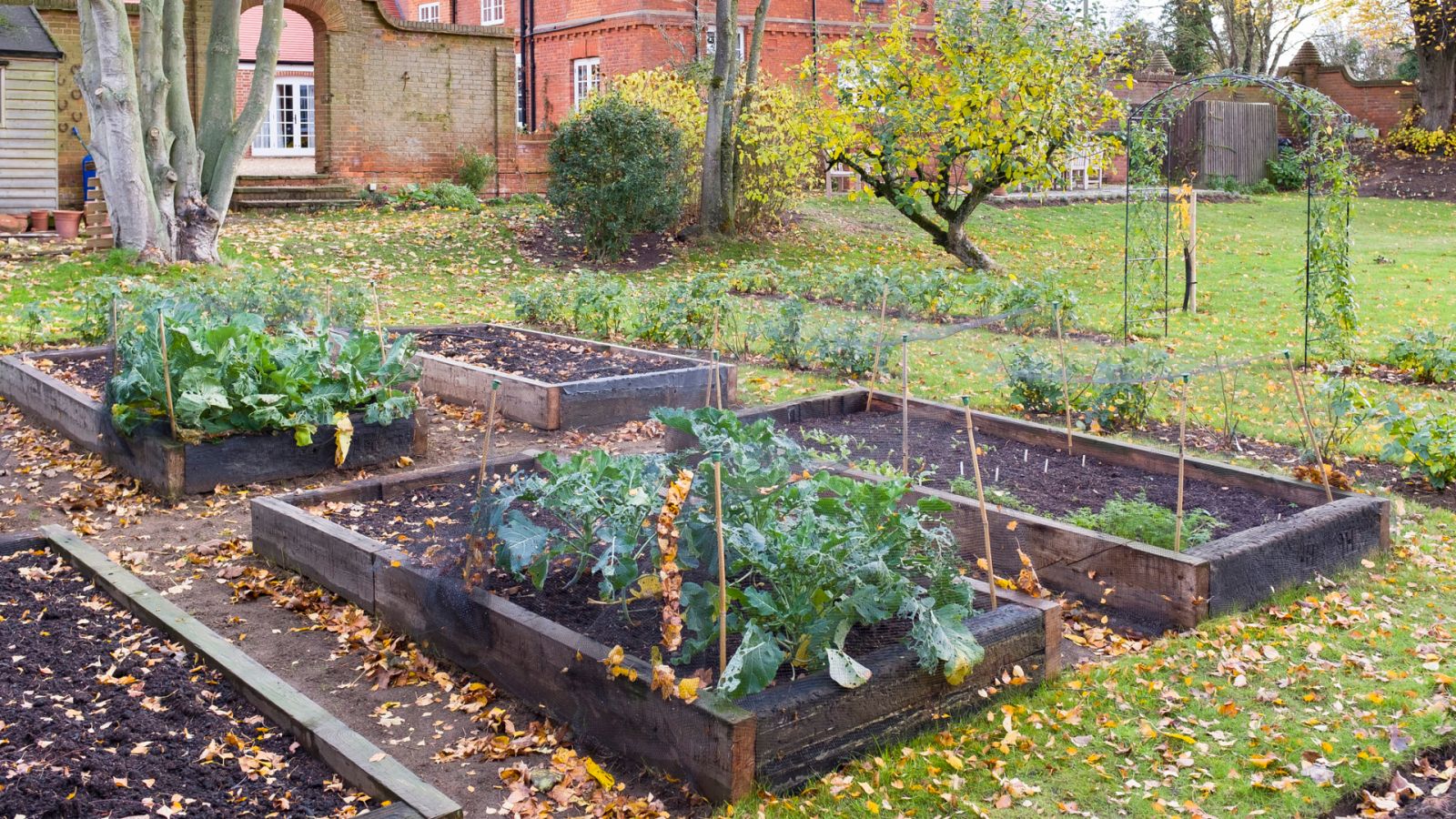 Aquí la Tierra - Preparamos el huerto en otoño de cara al invierno
