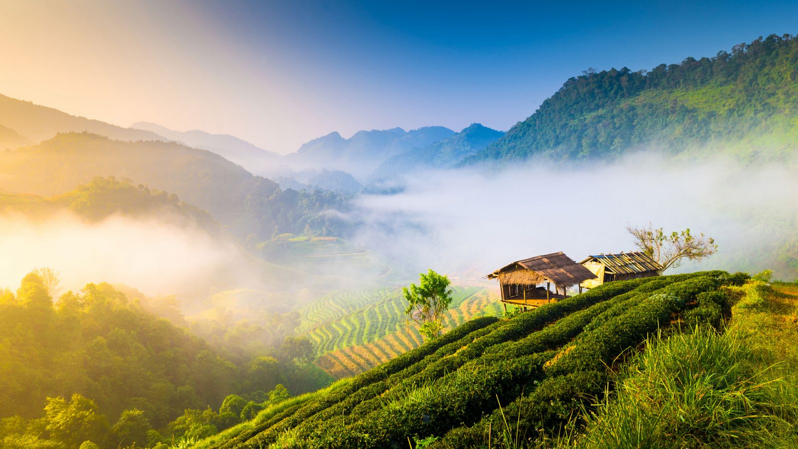 Viaje al pasado de las ciudades 2 - Episodio 5: Chiang Mai, Tailandia. El diseño de la Naturaleza - Documental en RTVE