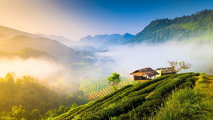 Chiang Mai, Tailandia. El diseño de la Naturaleza