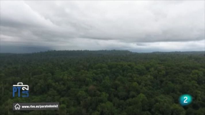 Entrevista al naturalista Joaquín Araújo