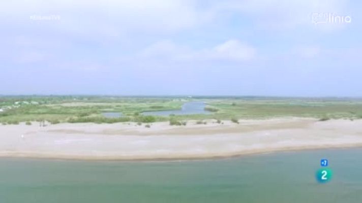 En Línia - Com canviarà Catalunya amb el canvi climàtic?