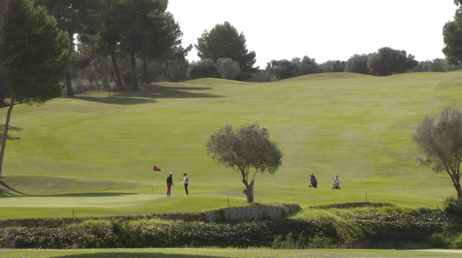 Hola Golf - T5 - Programa 25 - ver ahora