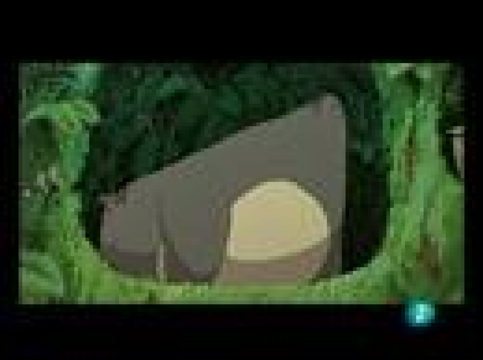 Días de cine - 'Mi vecino Totoro' | Ver