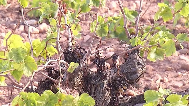 Cambio climtico: el coste de invertir para frenarlo y el coste de no actuar