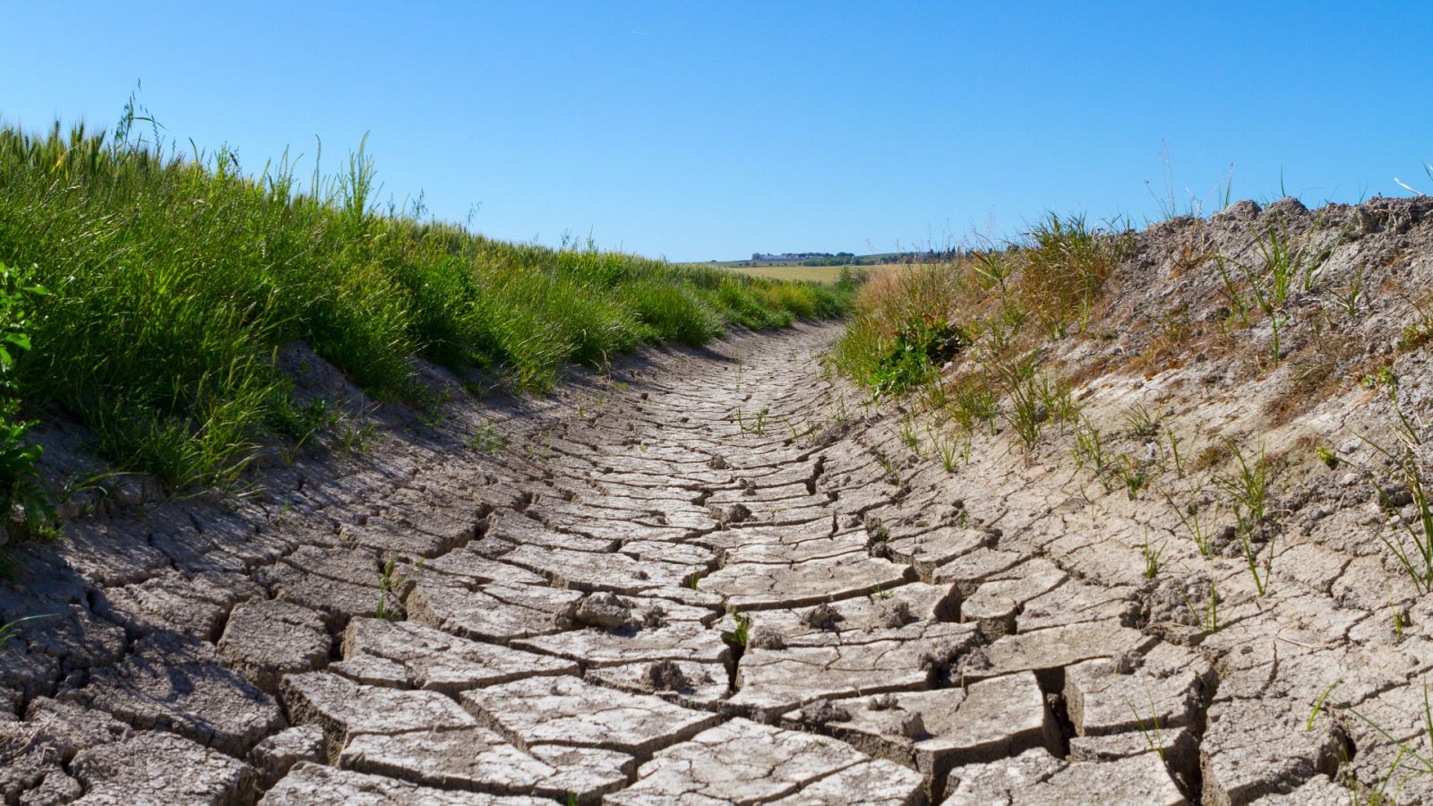 España, un país en riesgo por desertificación