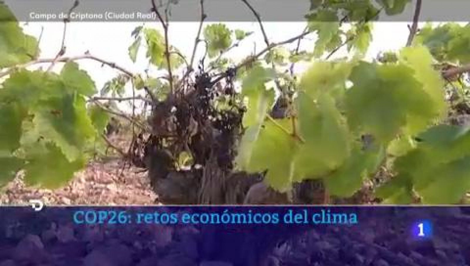 La agricultura, el sector más amenazado por el cambio climático . Ver ahora