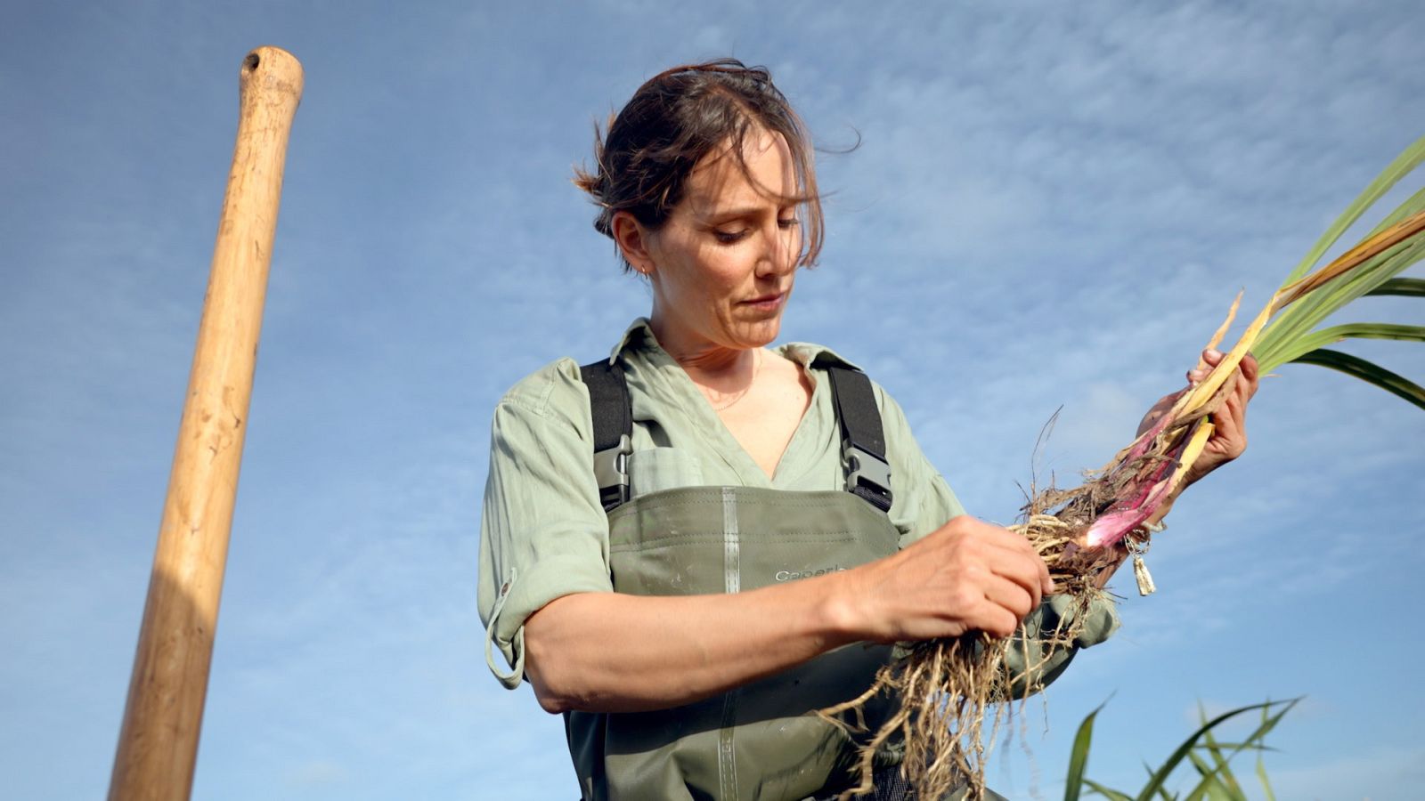 Reduce tu huella - Cañas y barro - ver ahora