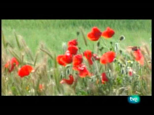 La frontera invisible - Del cielo y la tierra