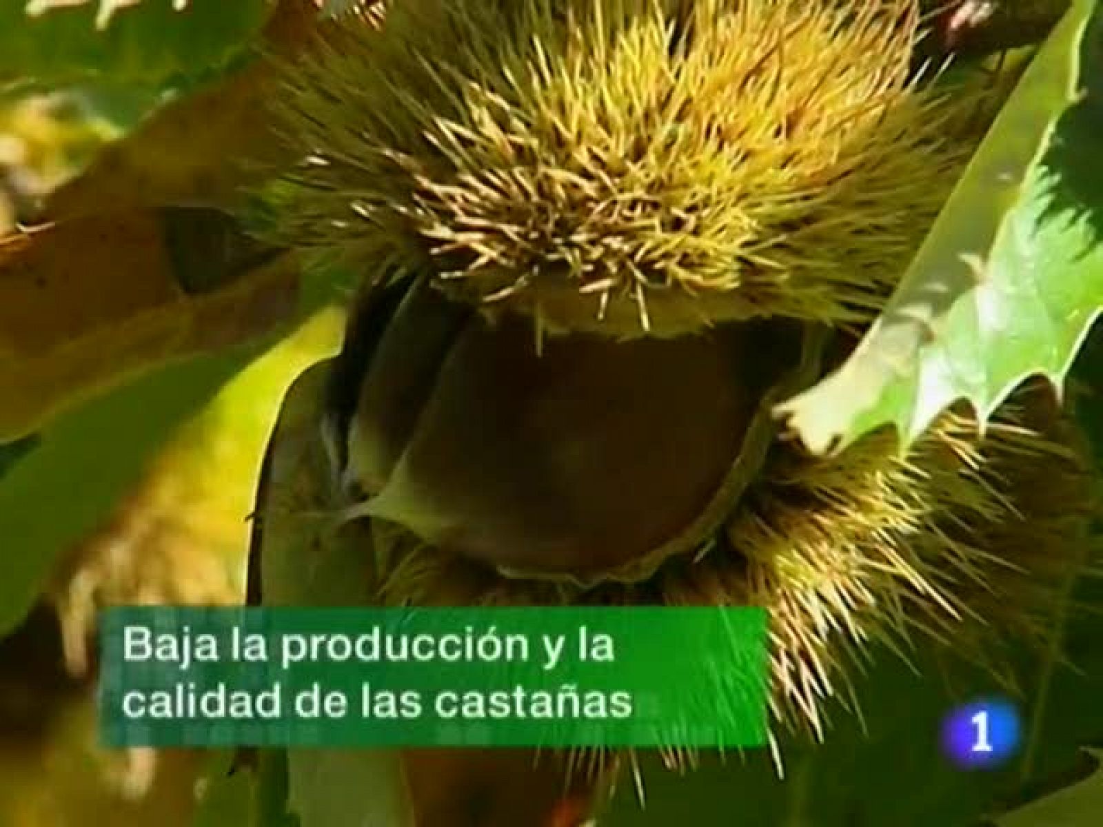 Noticias de Extremadura. Informativo Territorial de Extremadura. (30/10/09)