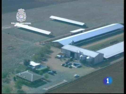  - Desmantelan la granja de la cocaína