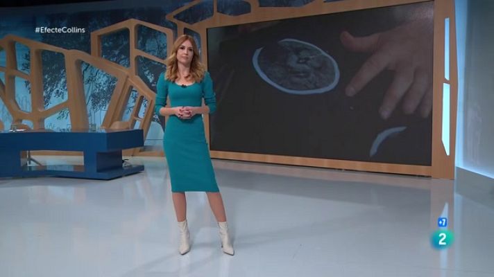 En Línia - Ictus, noves masculinitats i rugbi en cadira de rodes.