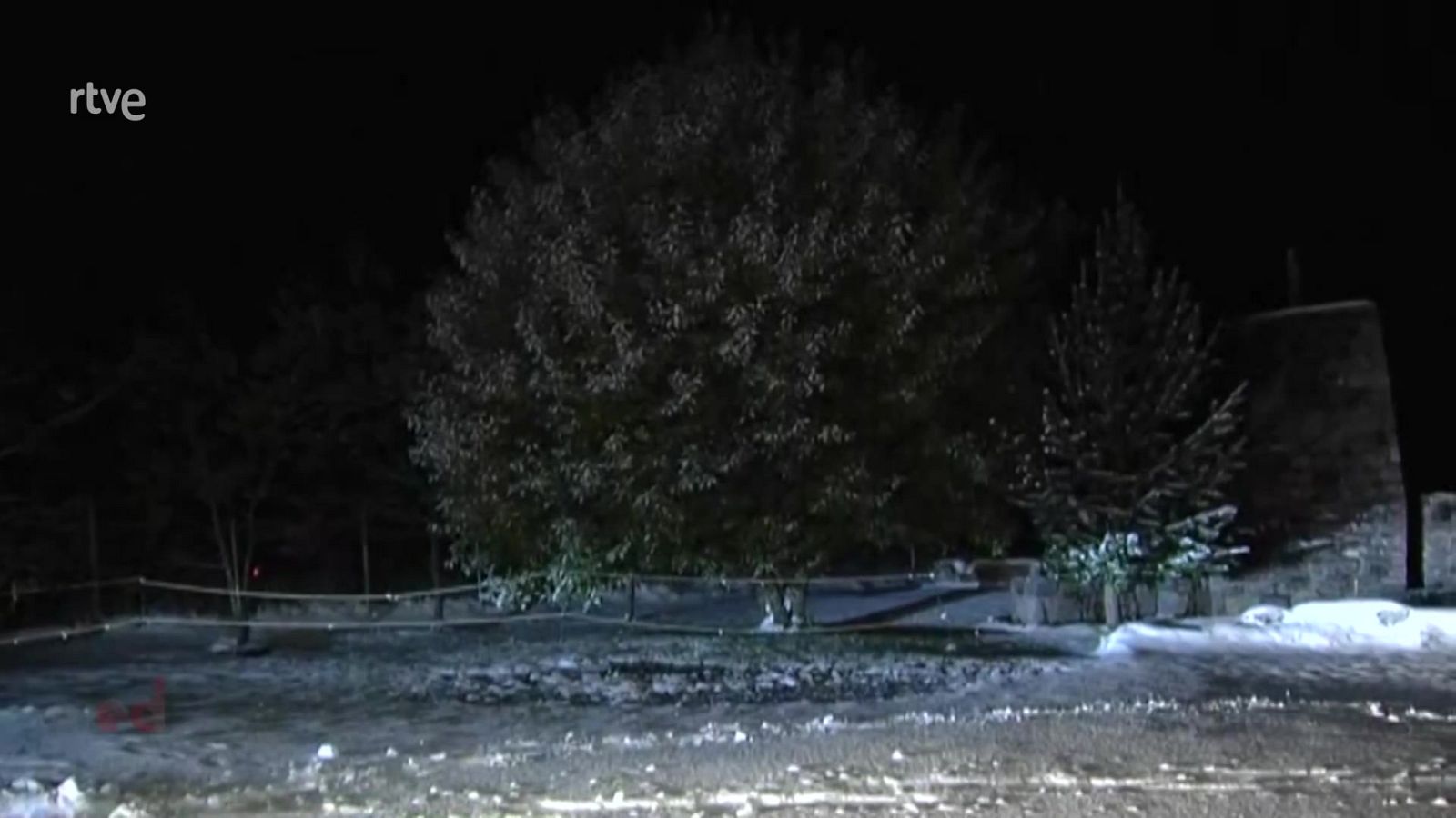 España Directo - 04/11/21 - ver ahora