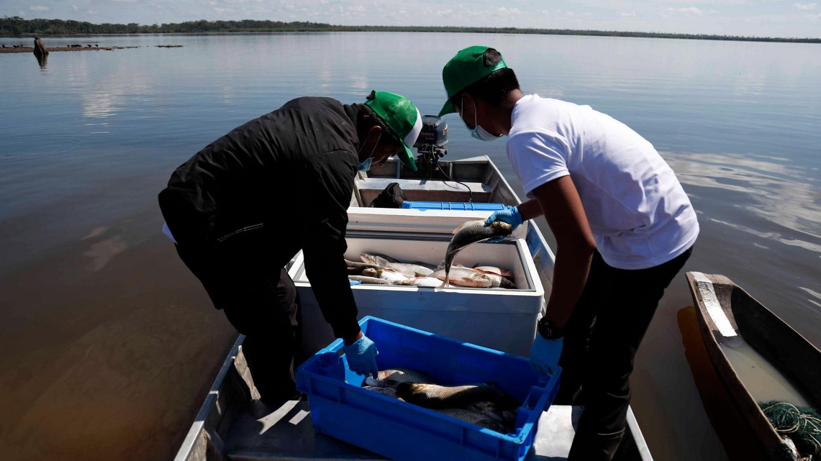 Francia y Reino Unido mantienen su pulso por la pesca | Ver