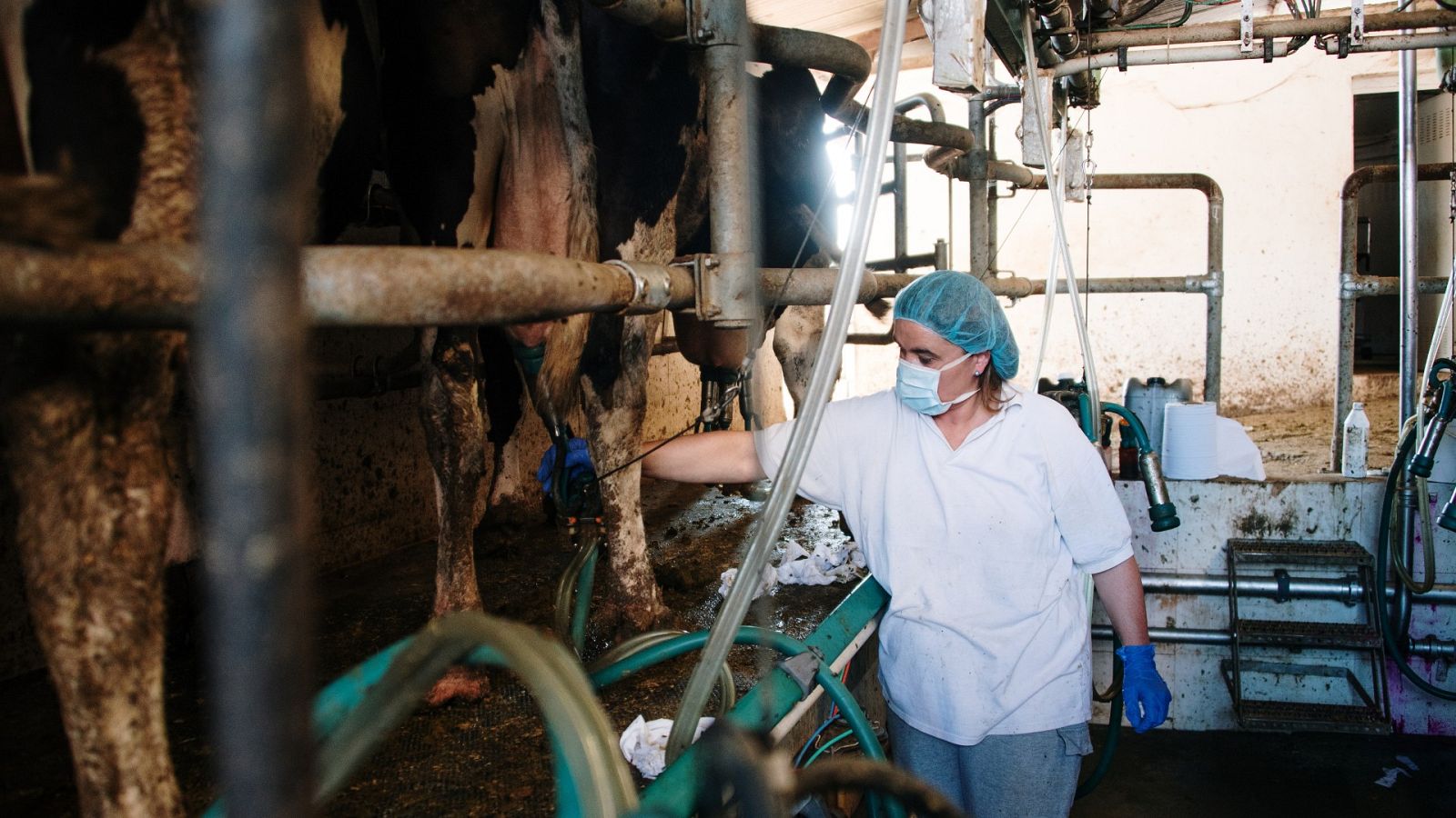 La subida de costes pone en riesgo miles de explotaciones agrícolas