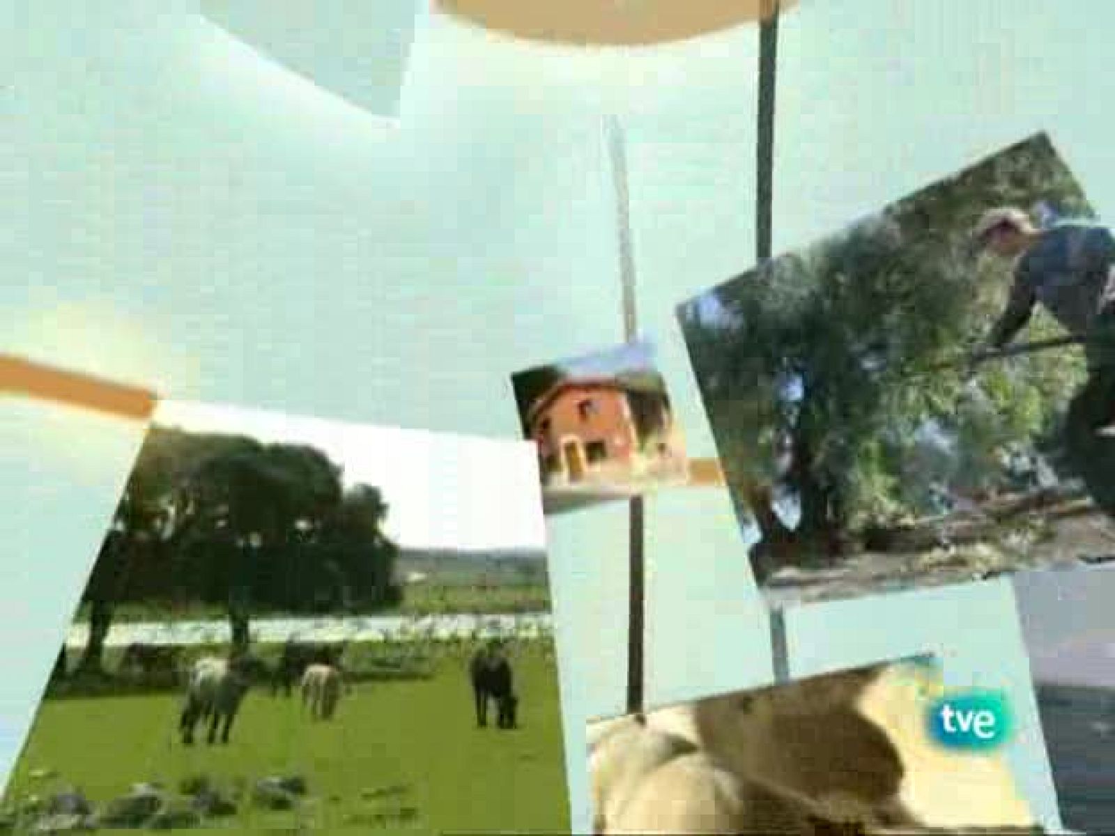 Agrosfera - 31/10/09 - Agrosfera | Ver