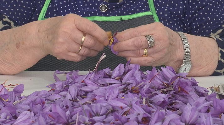 Agrosfera - Agrosfera - 06/11/21