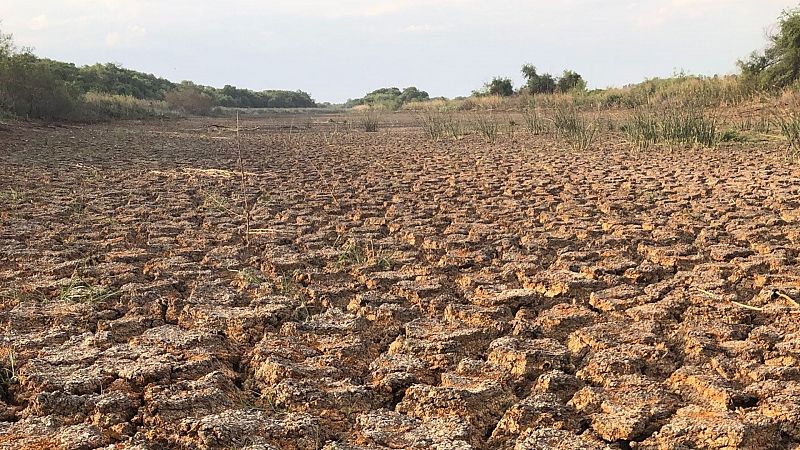 Informe Semanal - La alerta de Paraná - ver ahora