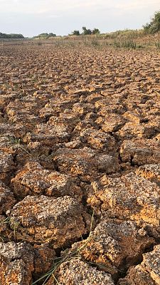 Informe Semanal en lengua de signos - Informe Semanal - 06/11/21 - Lengua de signos