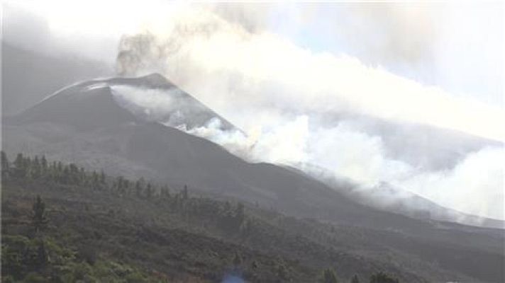 Telecanarias - Telecanarias - 07/11/2021
