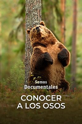 Somos Documentales - Conocer a los osos