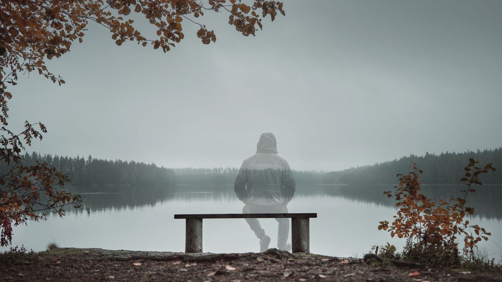 En España existen a día de hoy más de 5.000 casos de personas desaparecidas sin resolver - Ver ahora