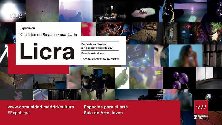 Sala de Arte Joven. Exposición 'Licra'