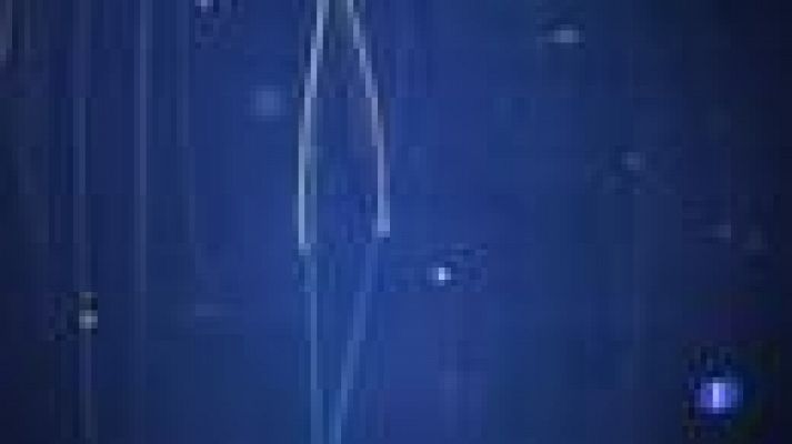 Noticias Murcia - La Region de Murcia en 2' - 08/11/2021