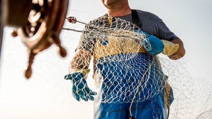 Los pescadores de La Palma, a la espera de las ayudas anunciadas por el Gobierno