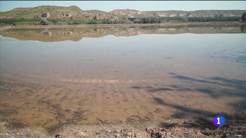 Vídeo sobre El arroz de Calasparra es un producto cada vez más demandado