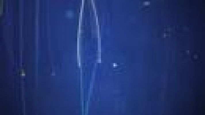 Noticias Andalucía - Noticias Andalucía - 09/11/2021