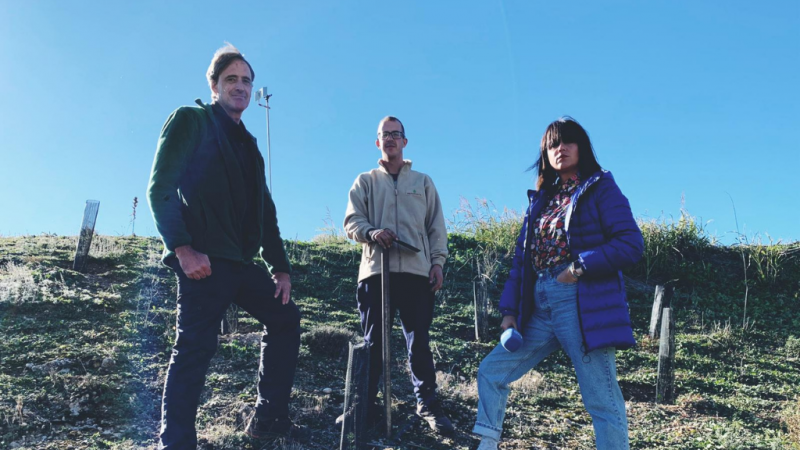 España Directo - España, uno de los países más vulnerables a la desertificación