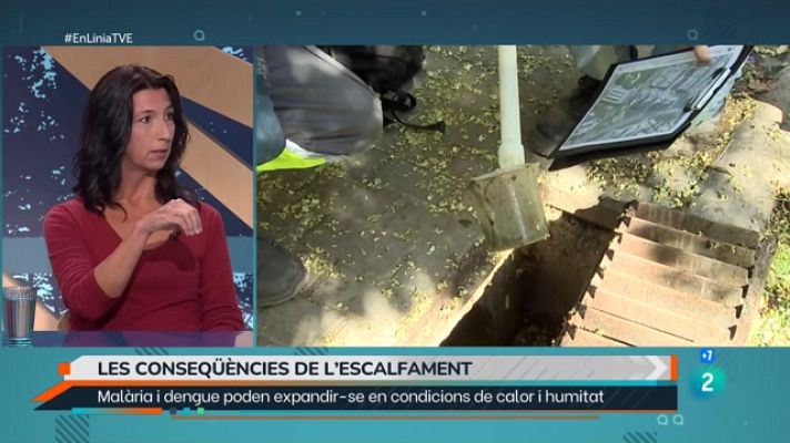 En Línia - Malalties tropicals