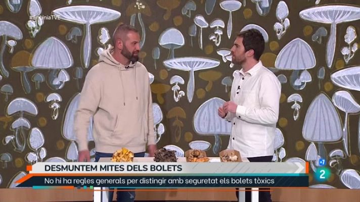 En Línia - Temporada de bolets