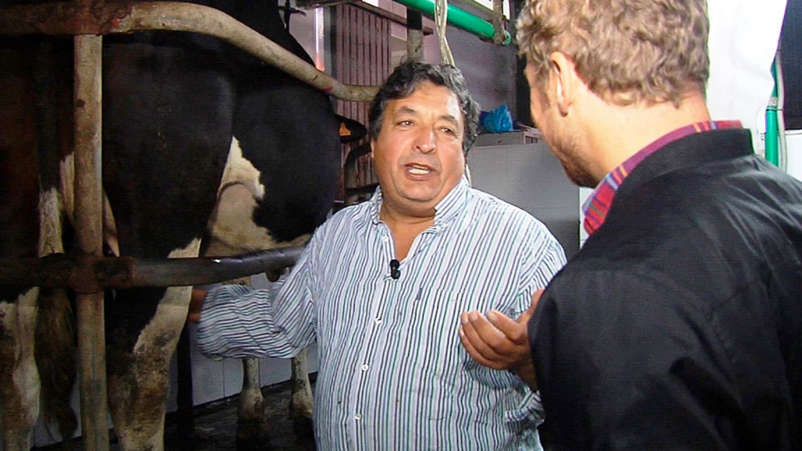 Comando Actualidad - 100% natural - ver ahora