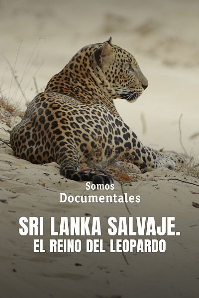 Sri Lanka salvaje, el reino del leopardo