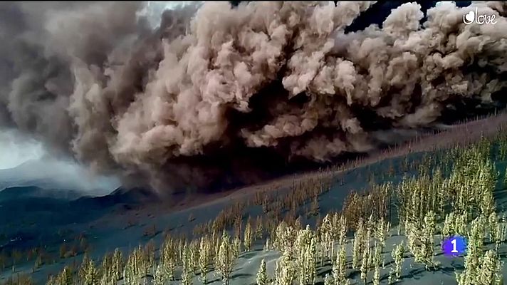 Telecanarias - Telecanarias - 10/11/2021