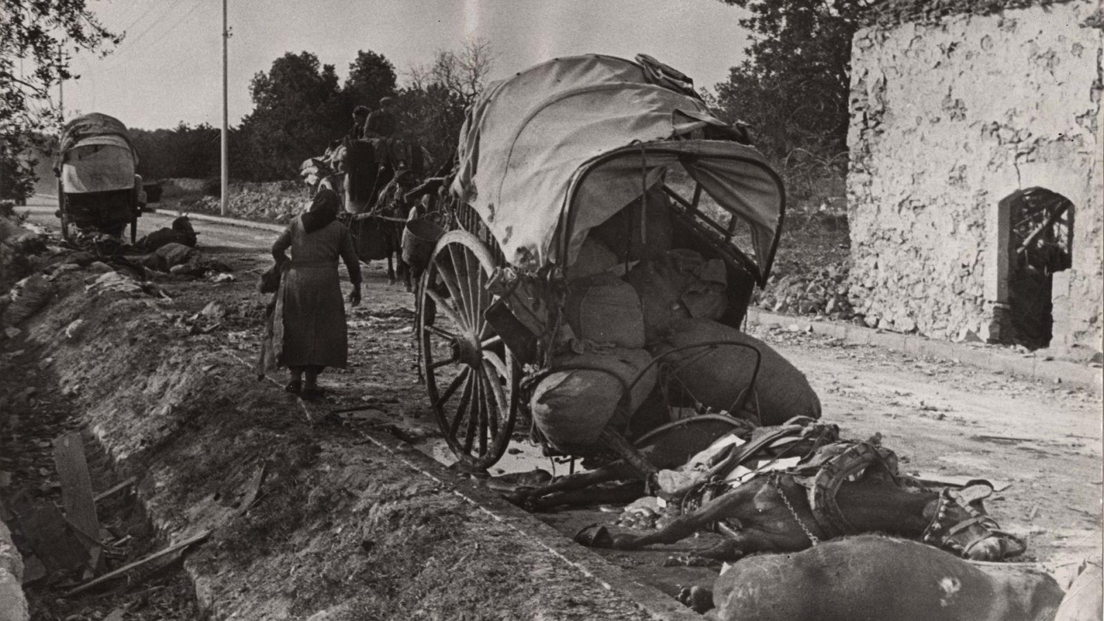 Somos documentales - El mundo en el que queríamos vivir. Robert Capa: diario de un éxodo - ver ahora