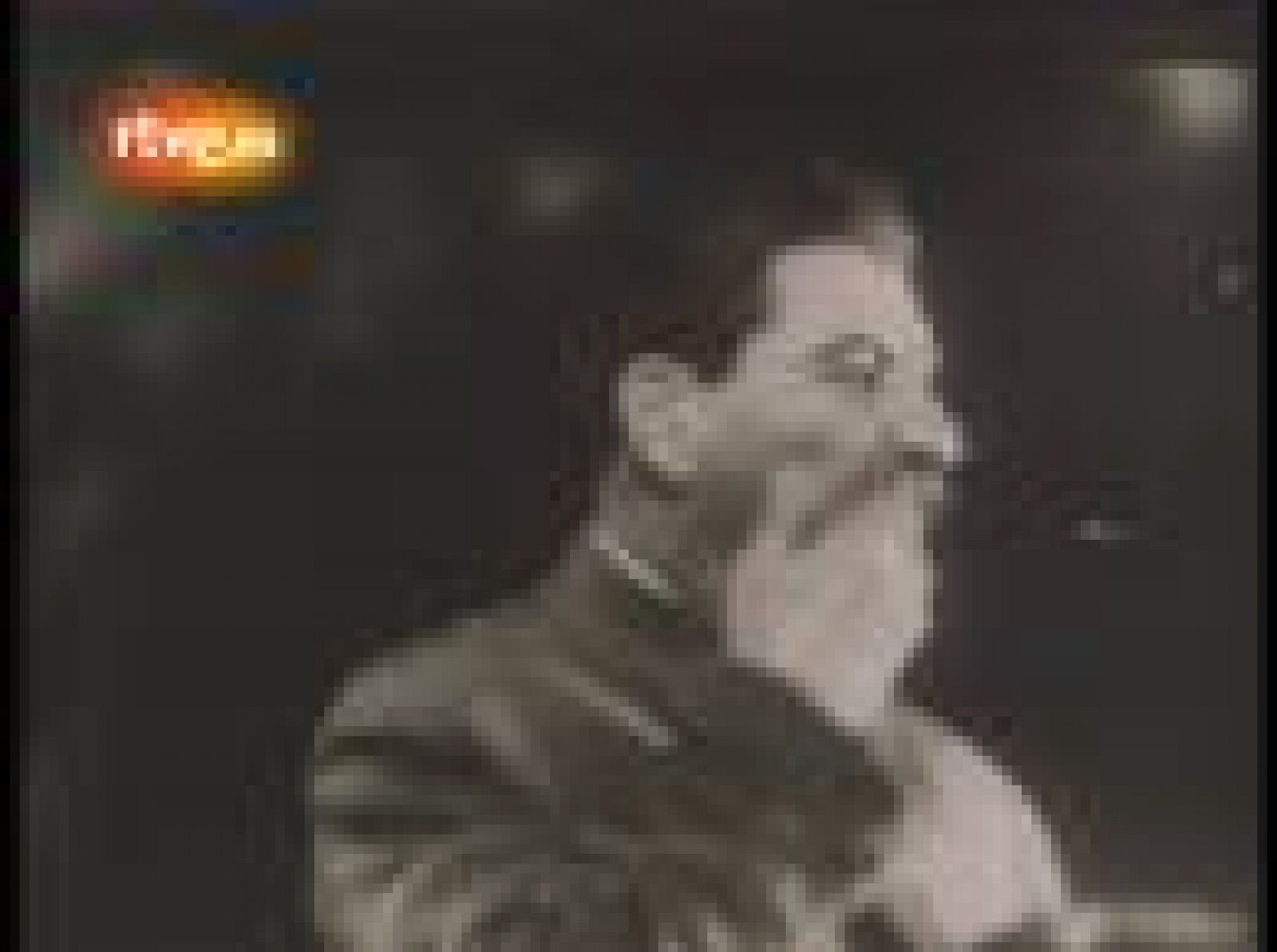 El deseo de reunificación en Alemania estuvo presente ya tras la II Guerra Mundial, aunque la RDA eliminó cualquier referencia a sus vecinos del oeste optando por una definición ideológica del país.