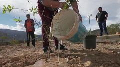 Almócita, un pequeño pueblo de Almeria donde la economía sostenible ya es una realidad