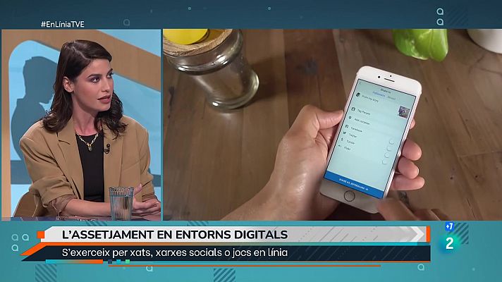  - El ciberassetjament en adults