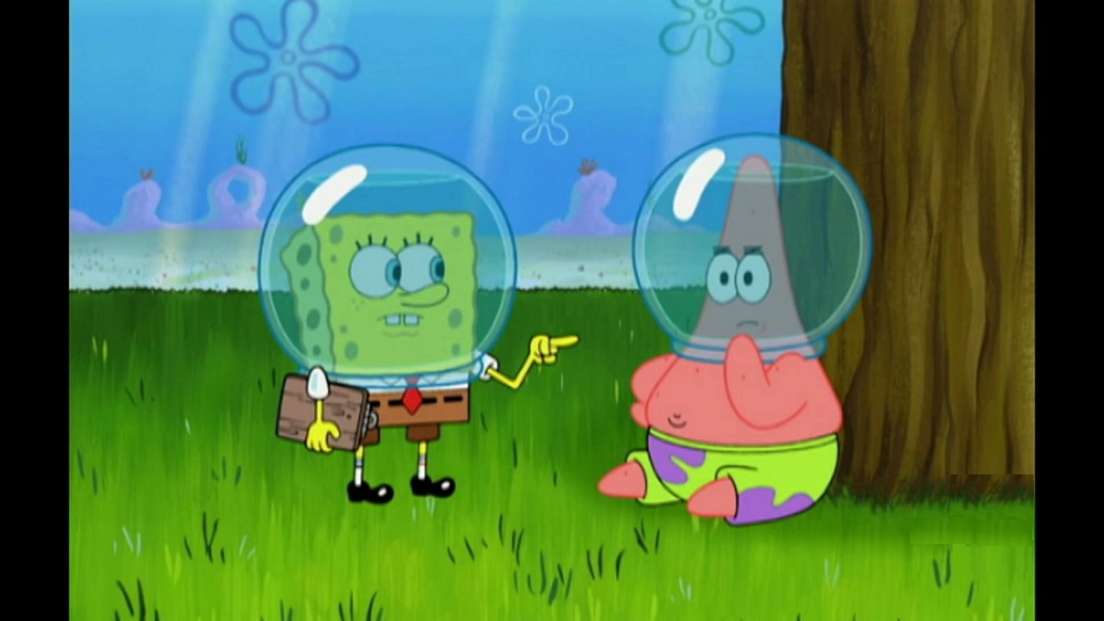 House sitting for Sandy