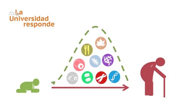 La aventura del Saber - ¿Es posible retrasar el envejecimiento?