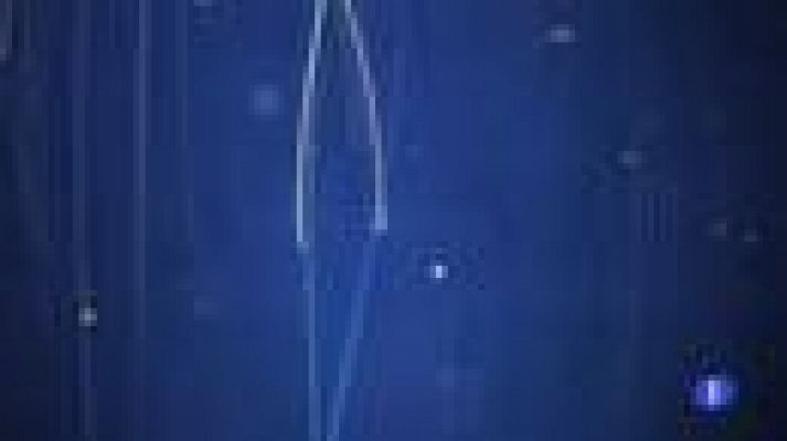 Noticias Murcia - Noticias Murcia - 12/11/2021