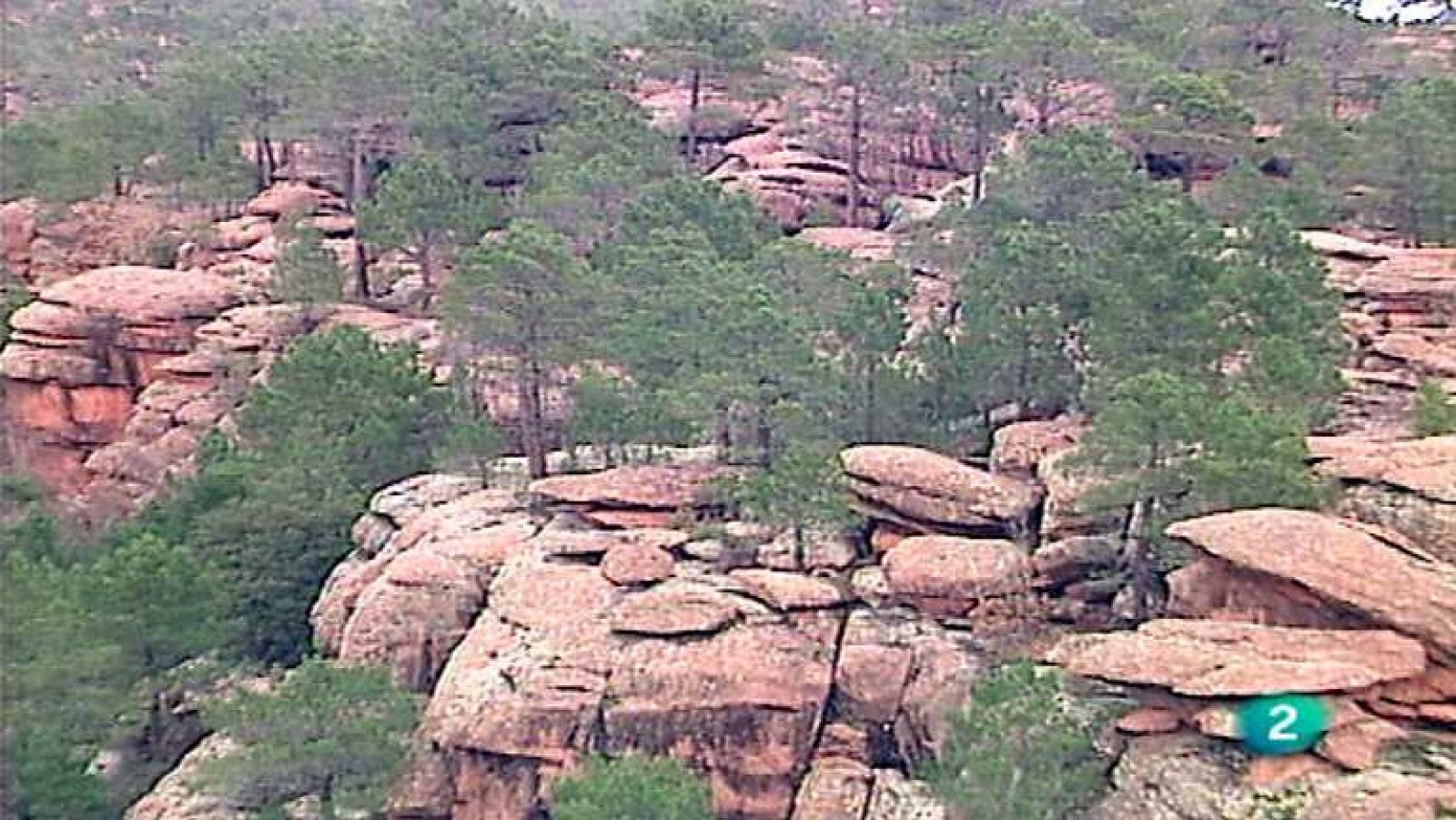 El vínculo con la tierra - Naturaleza vegetal - Ver ahora