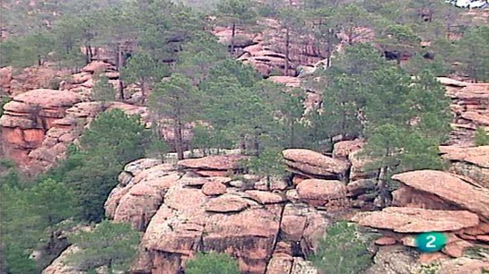El vínculo con la Tierra - Naturaleza vegetal
