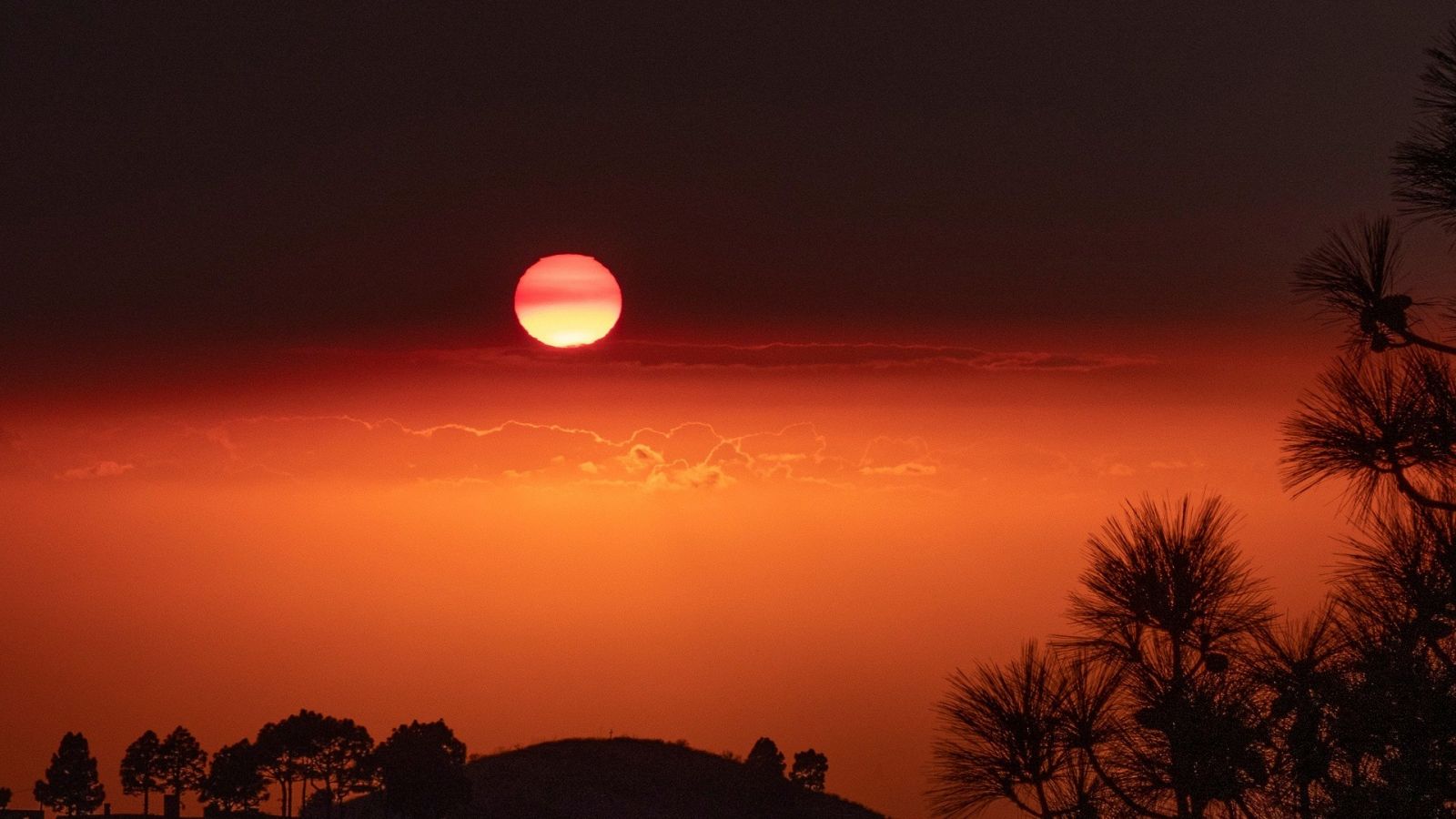 Telediario Matinal en Cuatro Minutos 13/11/2021 | Ver