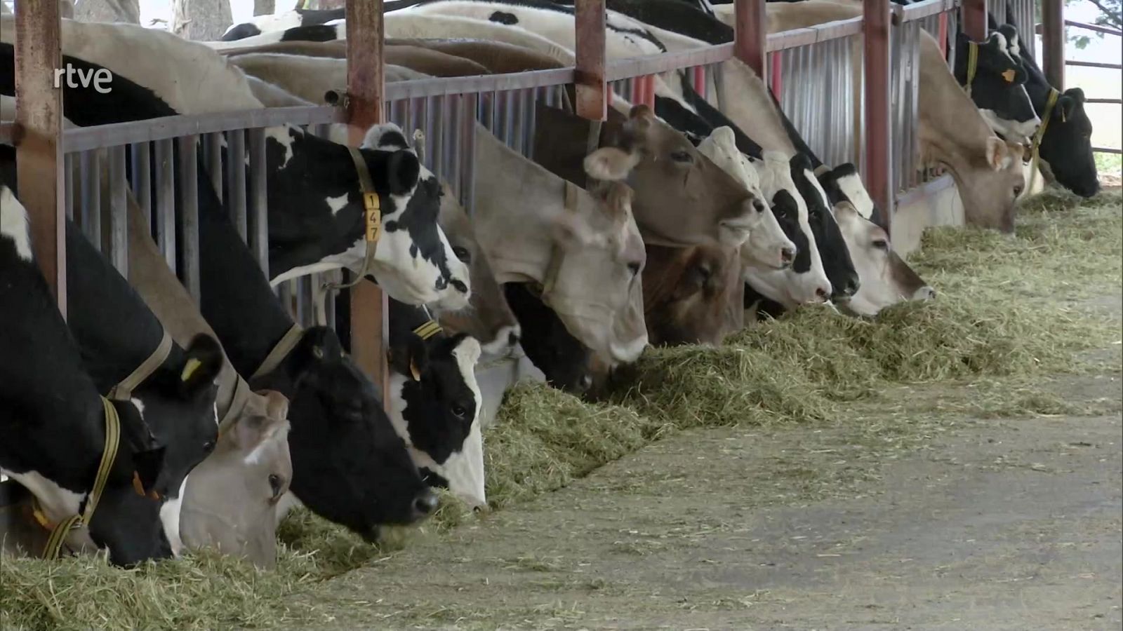 Agrosfera - 13/11/21 - ver ahora