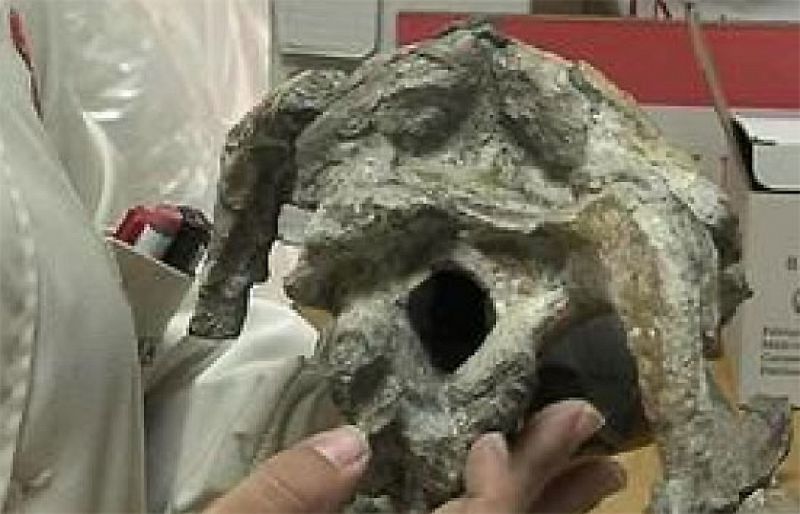 Antes de que se extinguieran, los hadrosaurios, conocidos como dinosaurios 'de pico de pato', vivieron sus últimos años en la Península Ibérica. Así lo ha determinado un grupo de científicos a raíz del estudio de un nuevo fósil de este animal,descubi